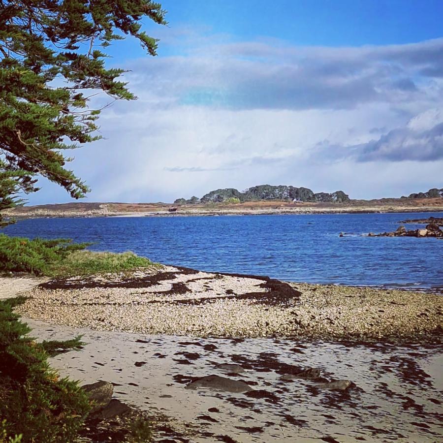 Dependance Spacieuse & Cosy Entre Et Mer Avec Spa Landéda Eksteriør billede